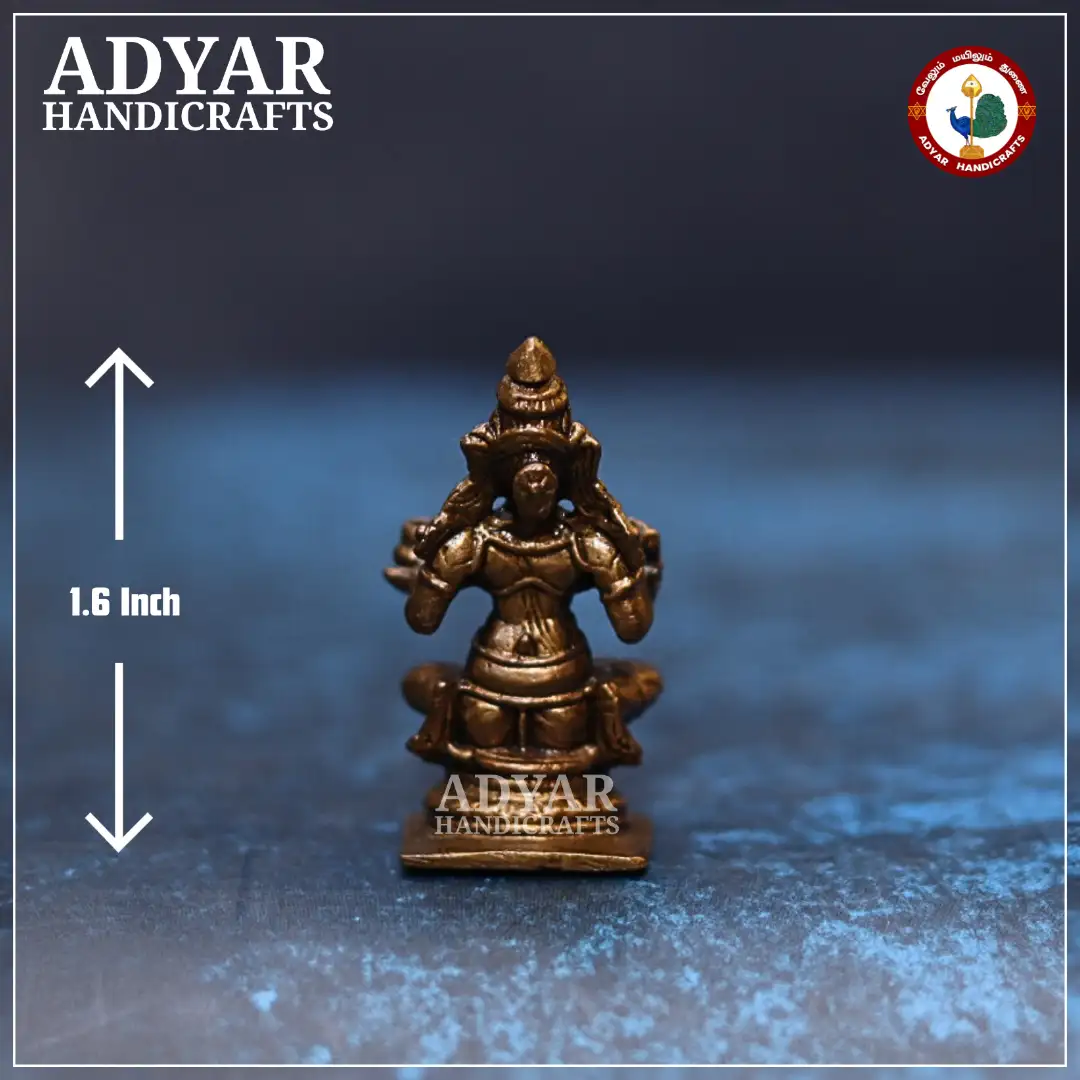 Dhanvantari Sitting - image 2