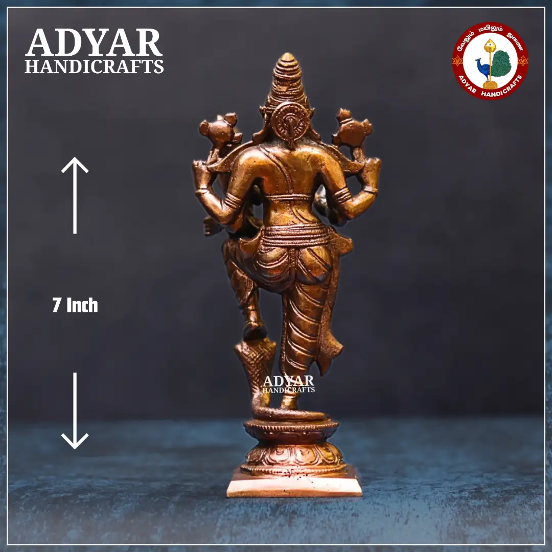 Lakshmi Varaha Perumal - image 2