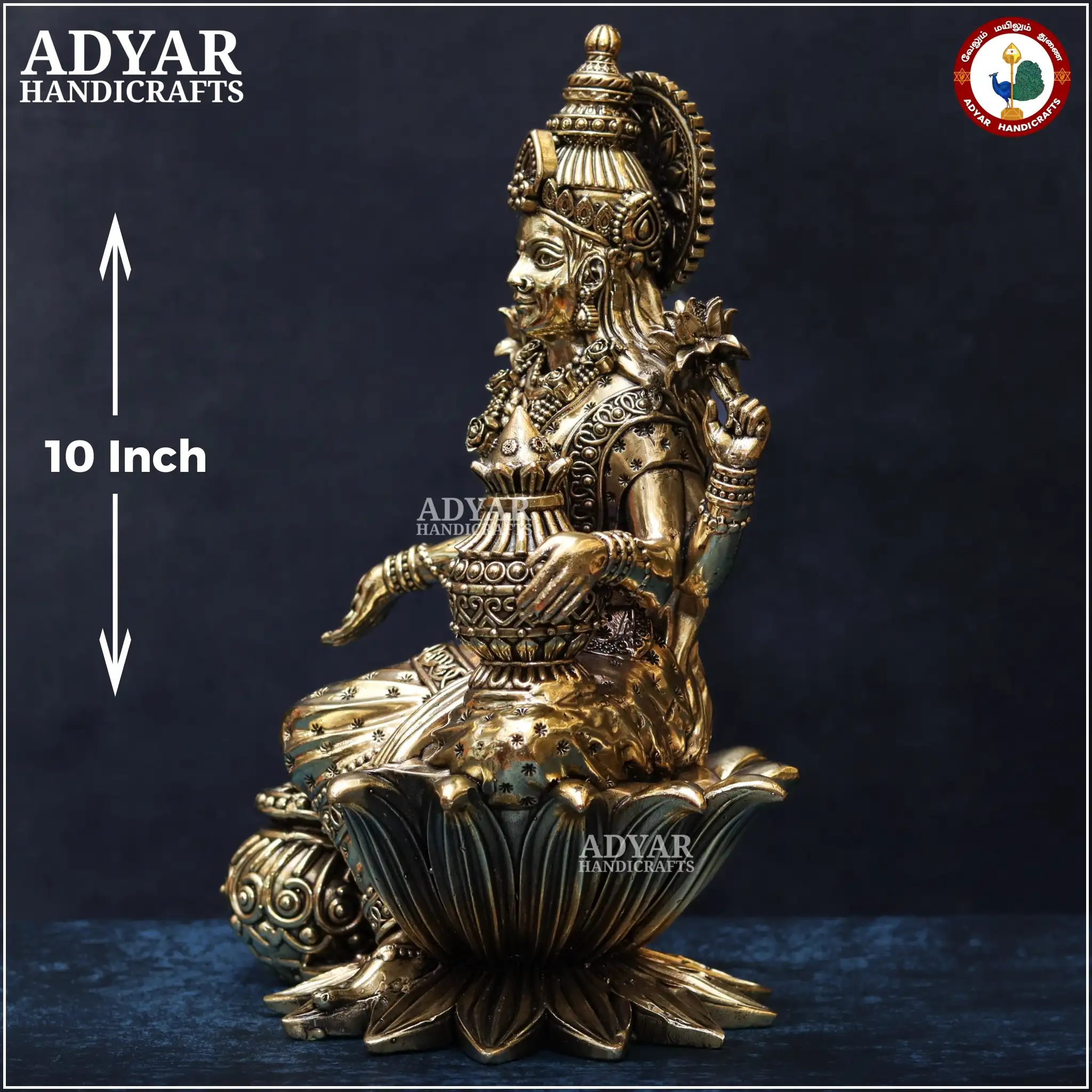 Lakshmi (Lite Weight Model) - image 2