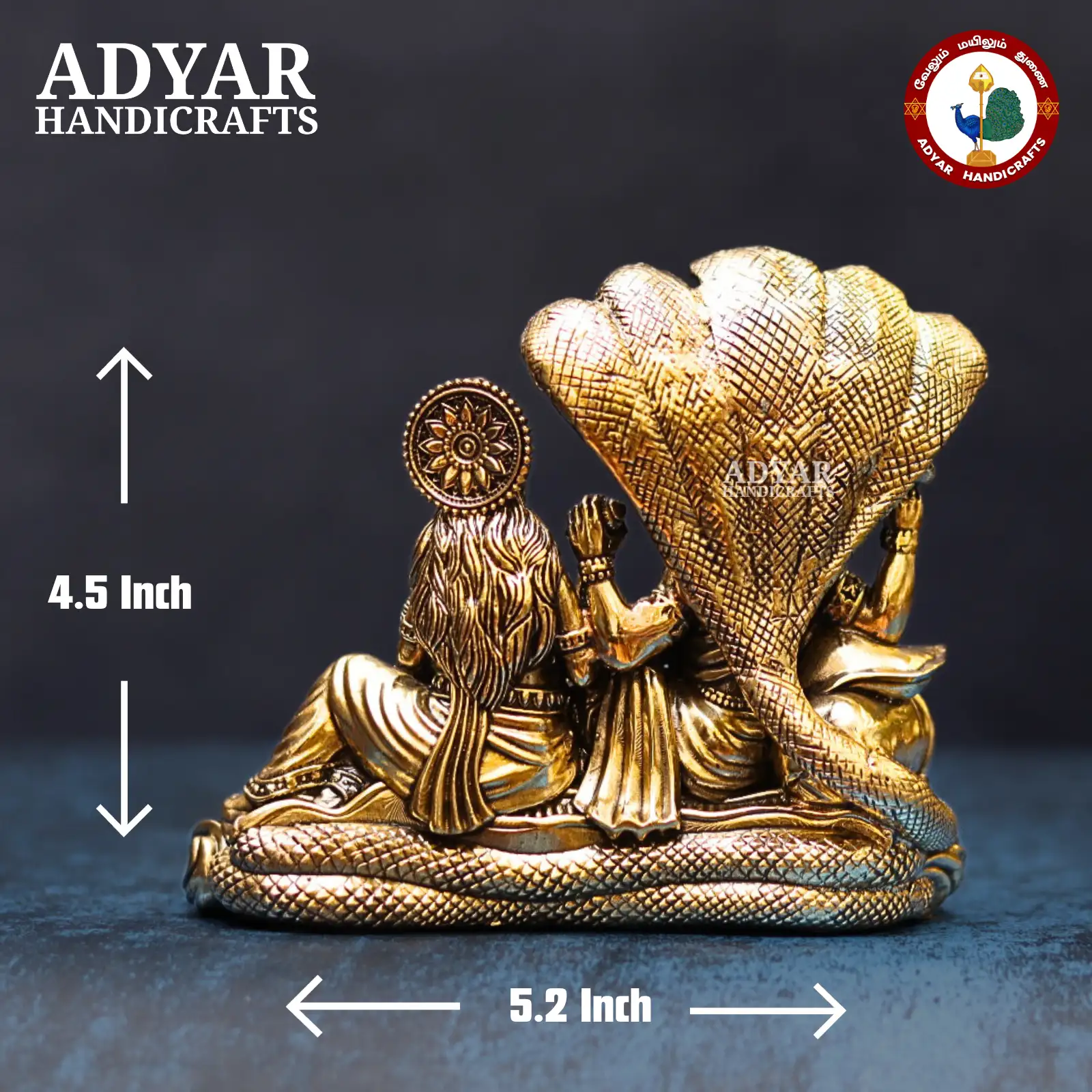 Vishnu Lakshmi - image 2