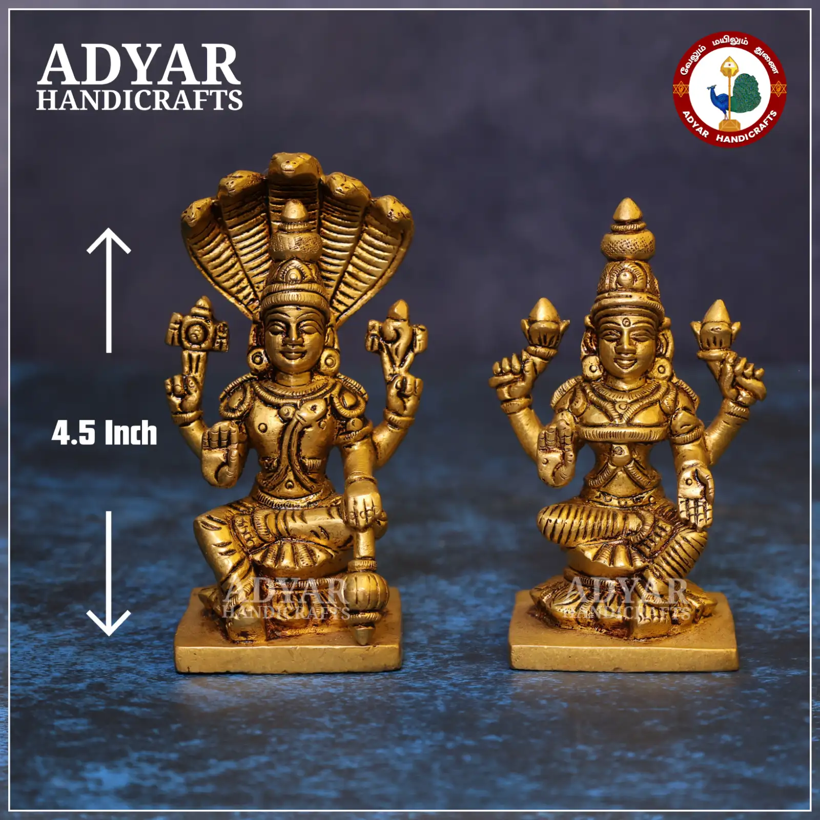 Vishnu Lakshmi - image 1