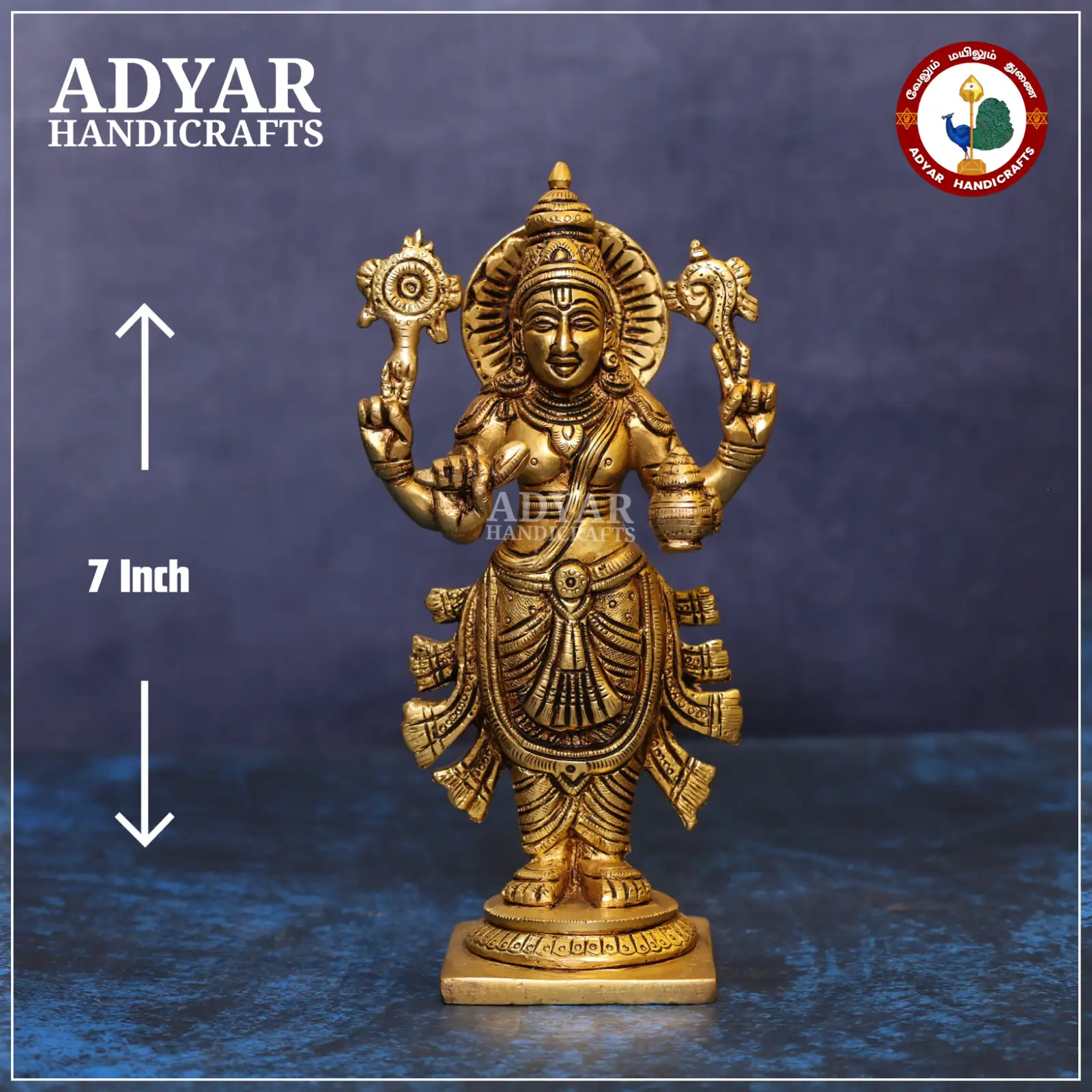 Dhanvantari - image 1