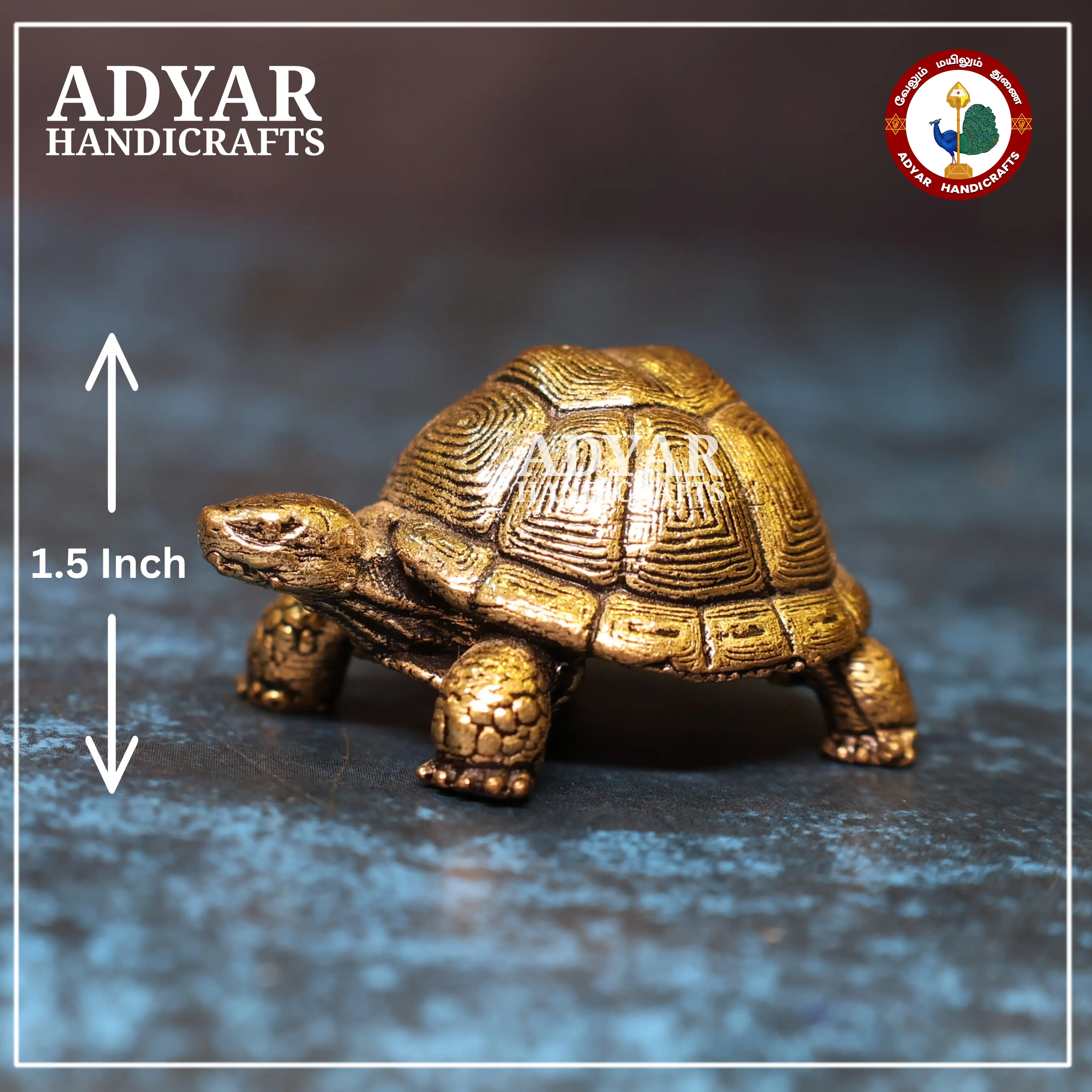 Tortoise - image 1