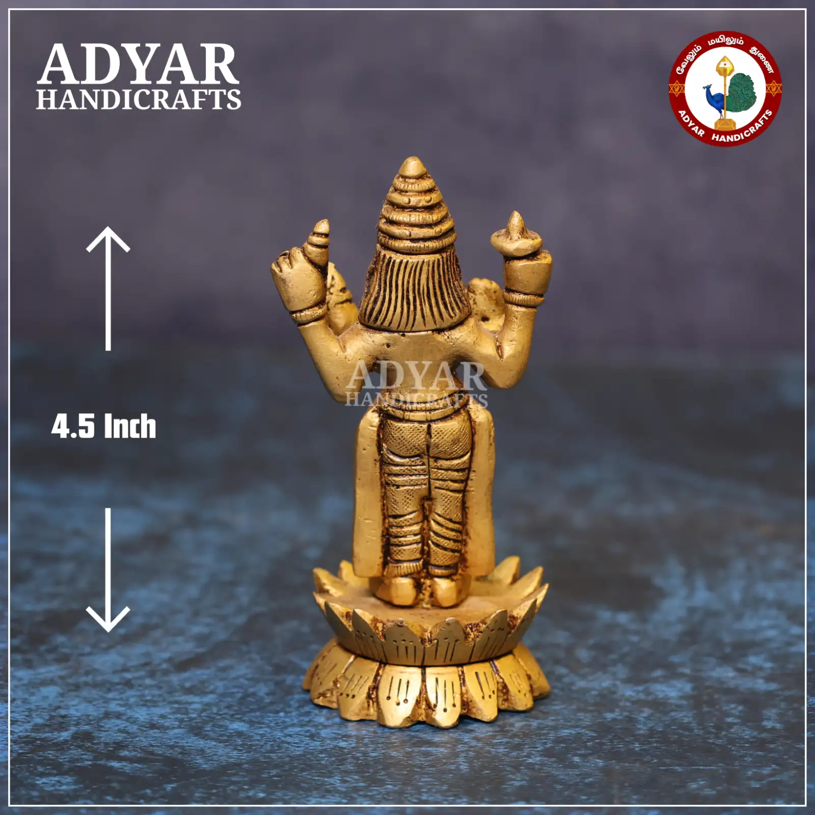 Dhanvantari - image 2