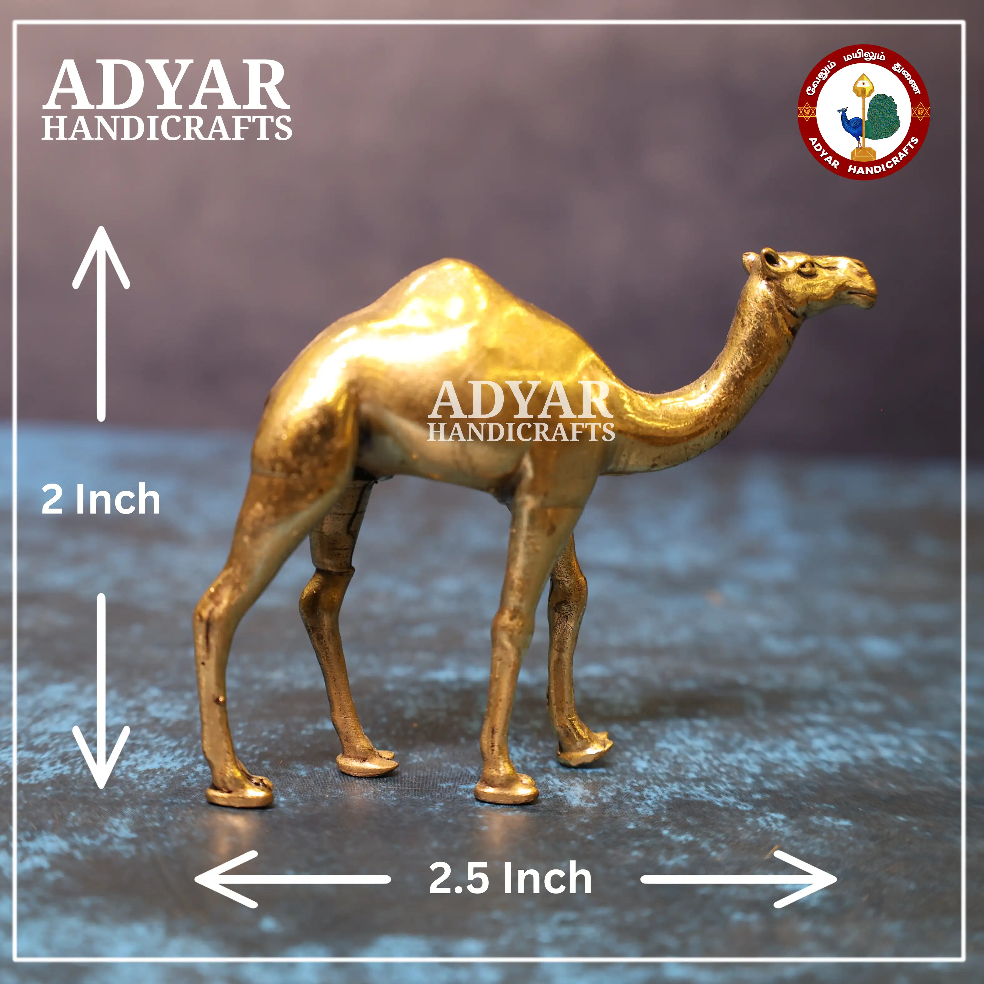 Camel - image 2