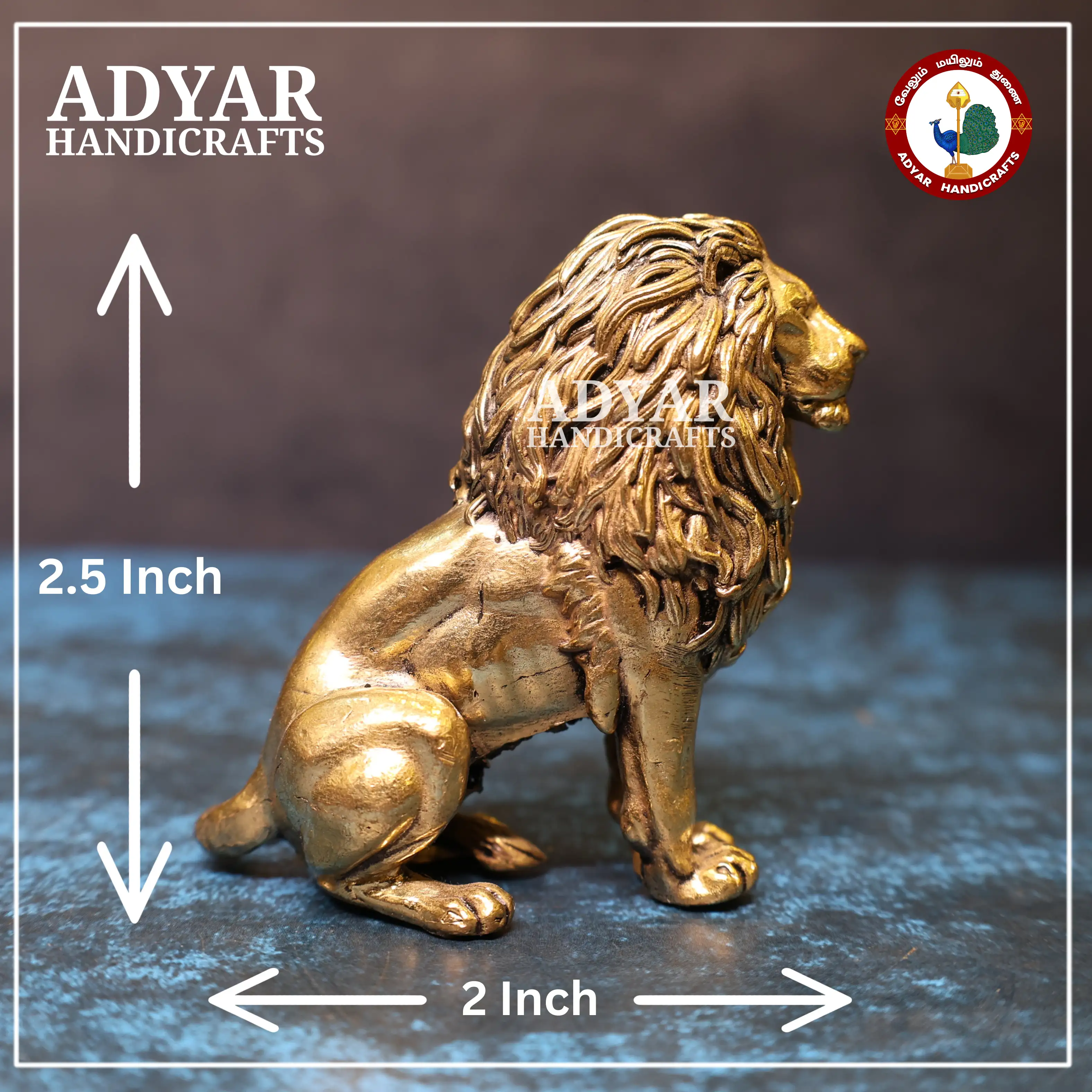 Lion - image 2