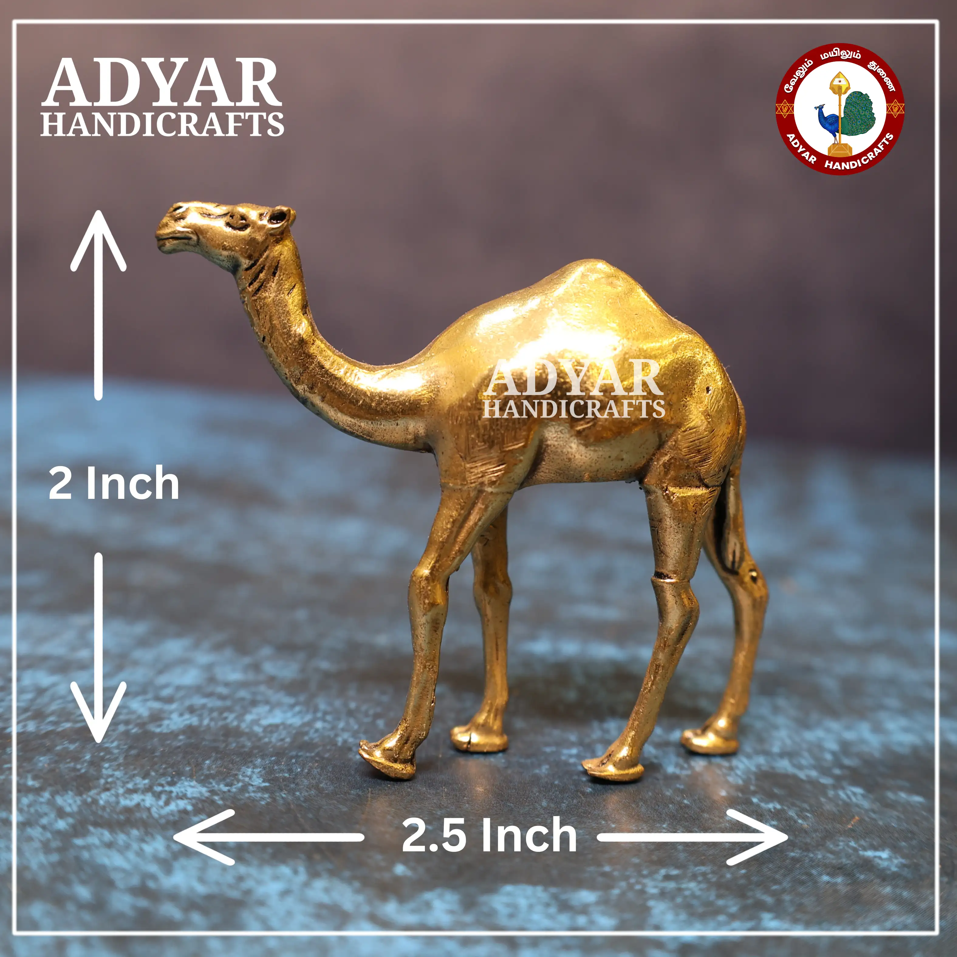Camel - image 1