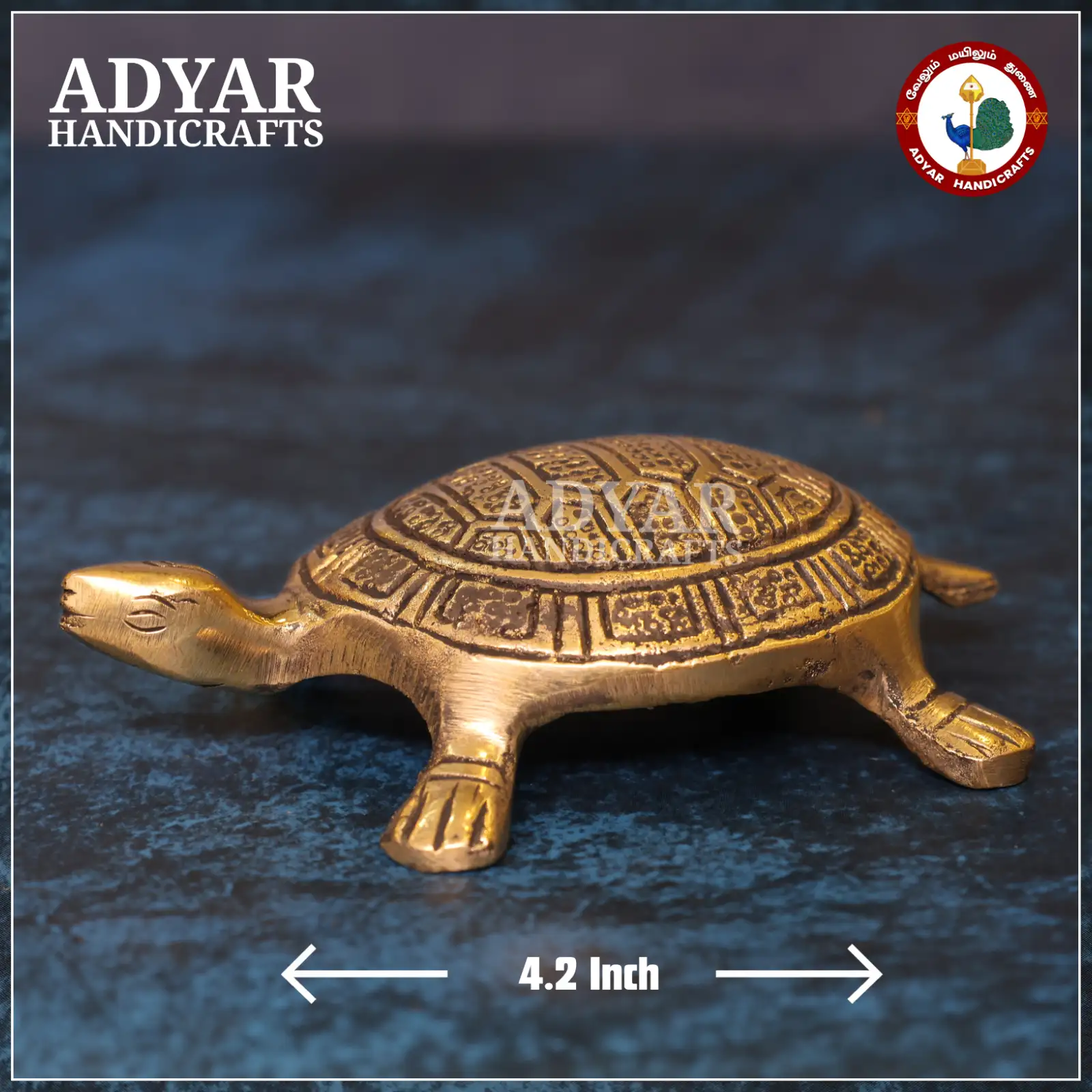 Tortoise - image 1