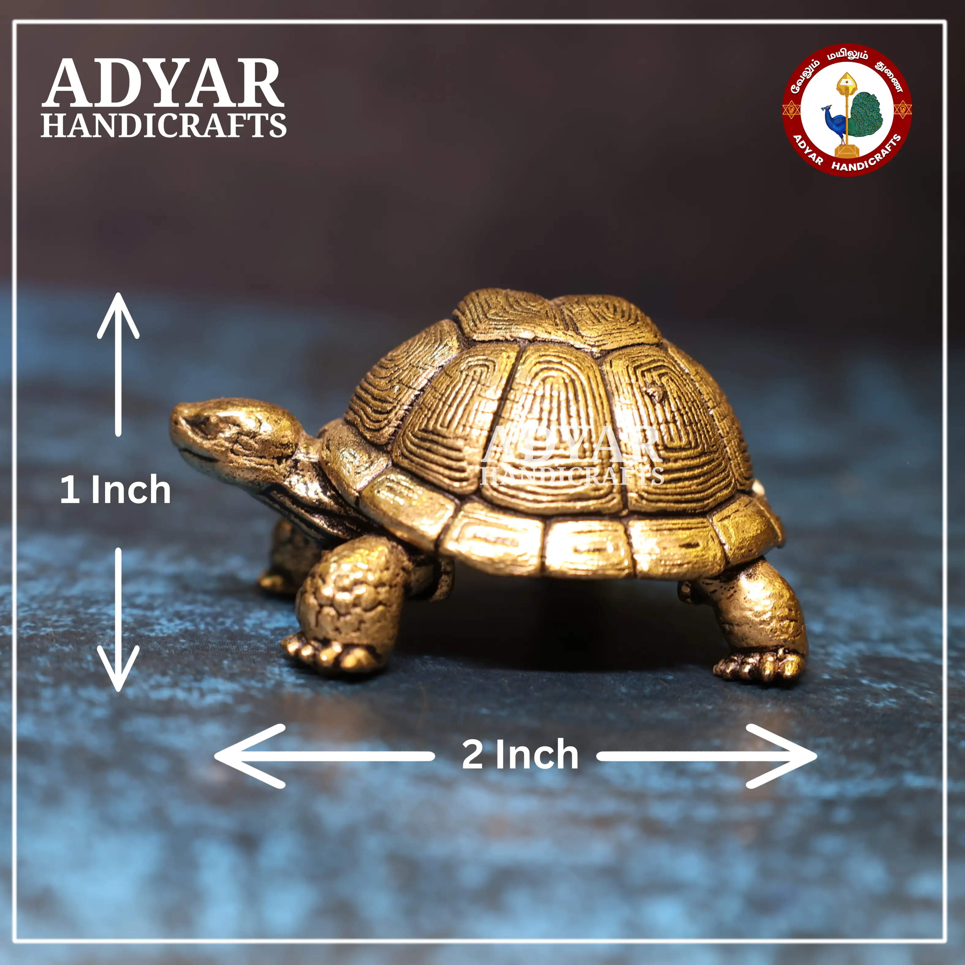 Tortoise - image 1