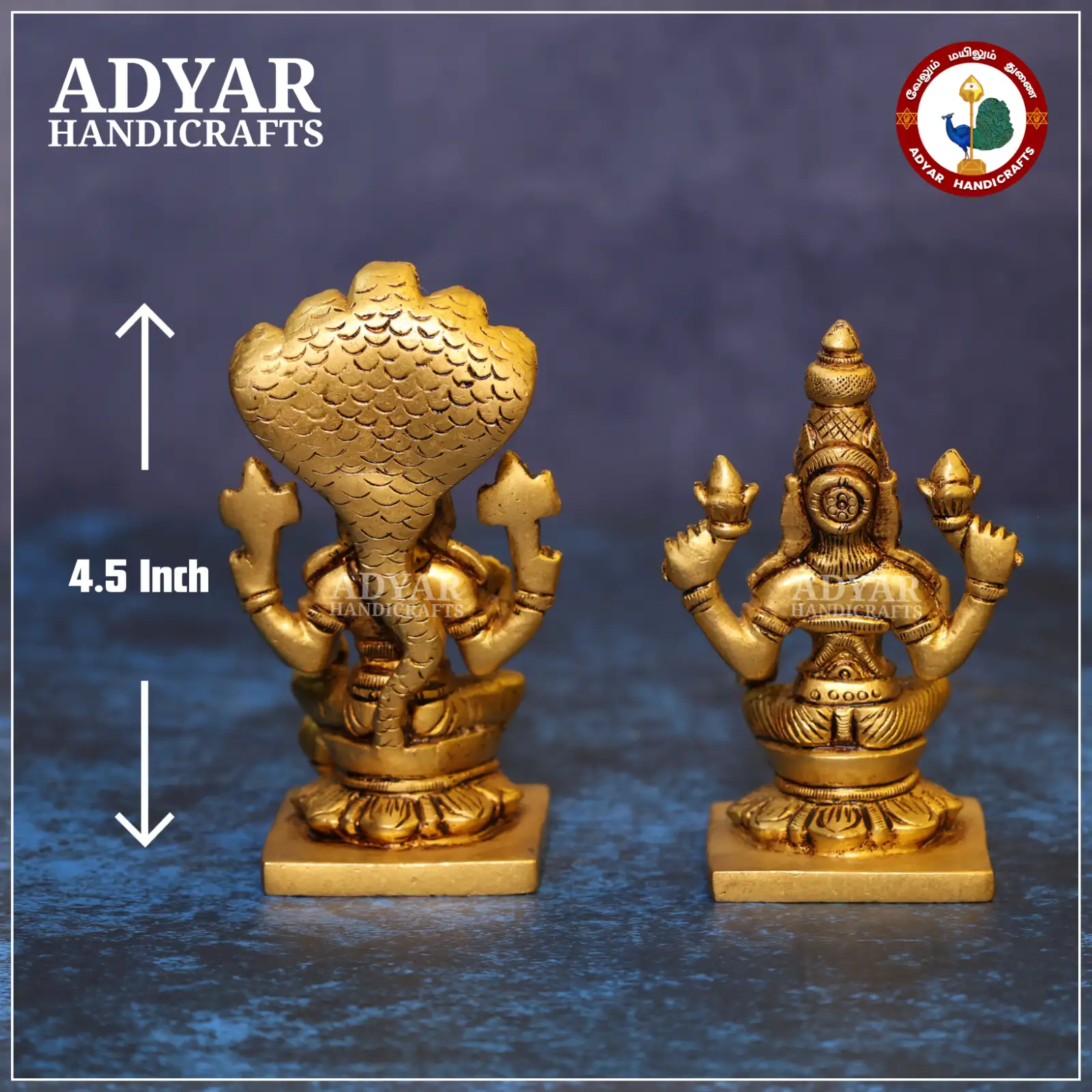 Vishnu Lakshmi - image 2