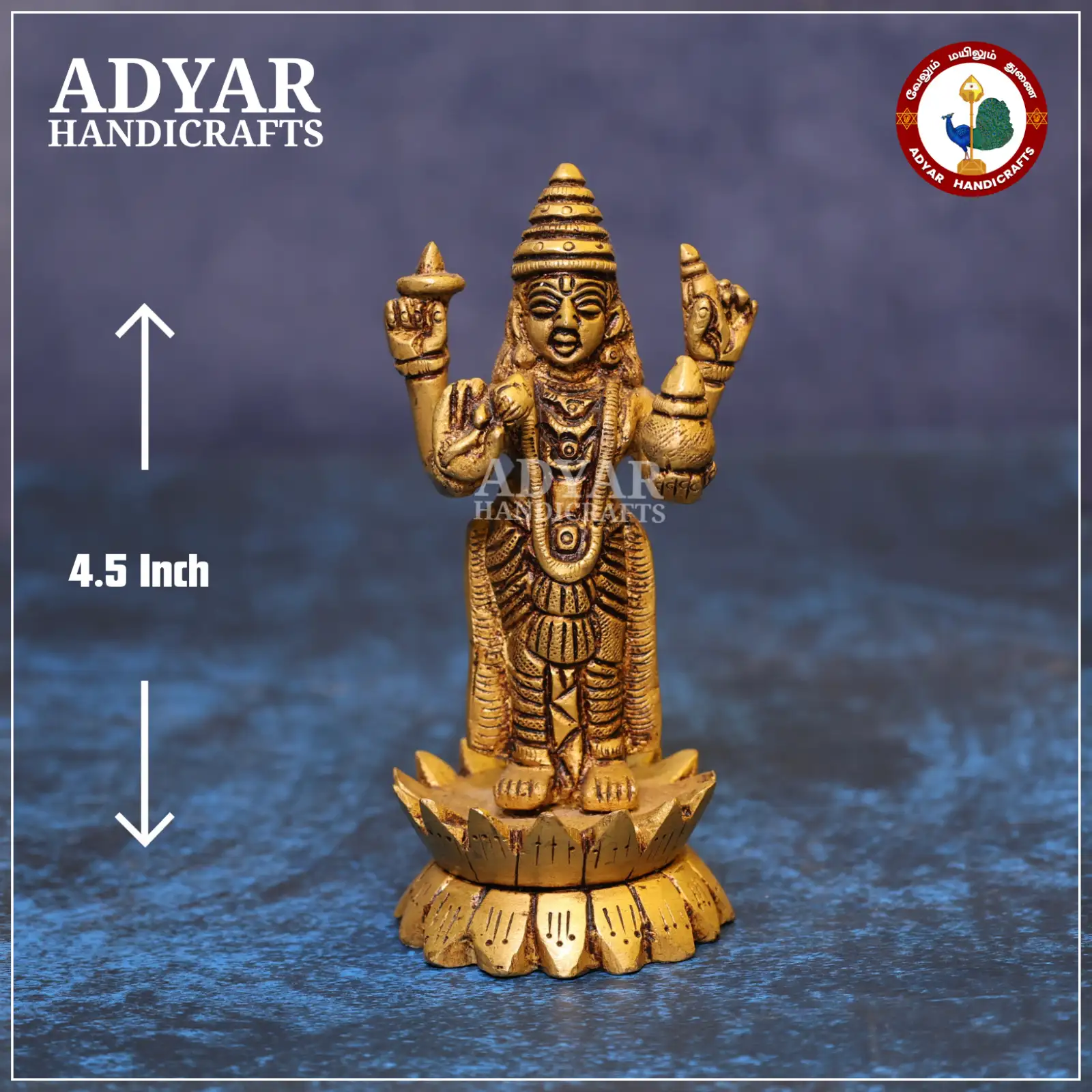 Dhanvantari - image 1